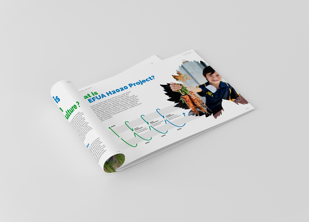 Efua brochure