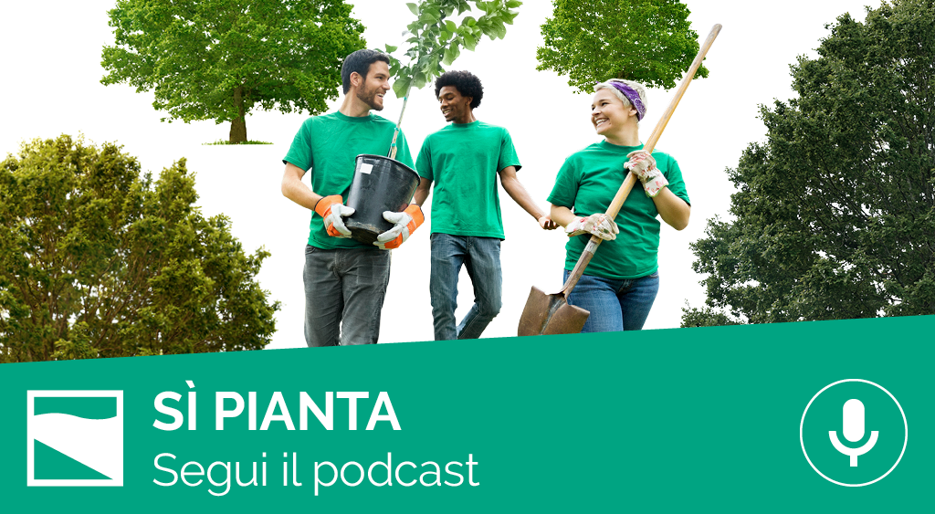 Podcast Si Pianta